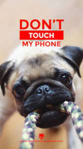 Cute Dog Lock Screen Dont Touch My Phone Wallpapers Touch Me Dog Wallpaper