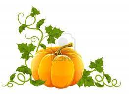 Pumpkin Leaves Pumpkin Illustration Pumpkin Illustration Autumn Pumpkin Design