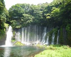 白糸の滝 (山梨県)の画像
