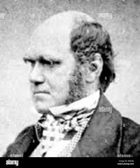Charles darwin portrait Black and White Stock Photos & Images