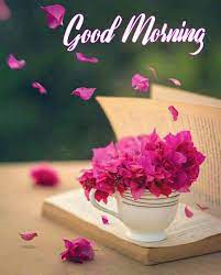 Good Morning Good Morning Happy Sunday Good Morning Wishes Friends Good Morning Images