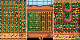 The perfect greenhouse layout can handle 18 fruit trees and 116 plants, using 6 iridium sprinklers. Stardew Valley 12 Best Crops To Grow In The Greenhouse