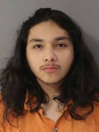 Police: Fleeing motorist charged with colliding into deputy's vehicle