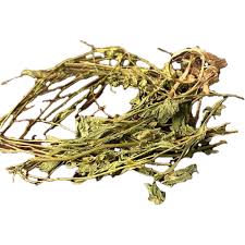 Image result for Petiveria