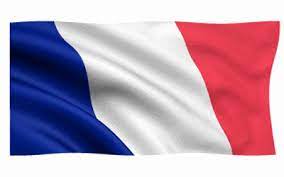 The old naval flag of france; French Flag Gifs 23 Animated Tricolor Images For Free