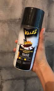 Check spelling or type a new query. Ikillzz Penghapus Lipas Dalam Kereta Auto Accessories On Carousell