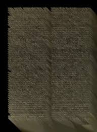 Image result for Cylindropsis parvifolia