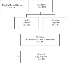 Flowchart Of Study Group Ida Iron Deficiency Anemia