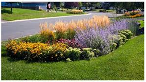 How to design a rain garden. Green Solution Rain Garden 3 Rivers Wet Weather