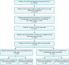 Signs and symptoms of small cell lung cancer include coughing and shortness of breath. Real World Outcomes Of Immunotherapy Based Regimens In First Line Advanced Non Small Cell Lung Cancer Lung Cancer