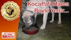 Kocapati Mama Hakkinda Bilgi Ve Paylasimlar
