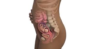 La pancia della futura mamma si allarga, il feto pesa circa 200 grammi e potrebbe iniziare a far sentire i suoi primi movimenti. Gravidanza Pagina 4 Di 6 Mamme Di Oggi