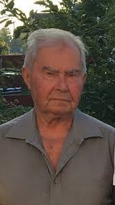 Albert Molnar's Instagram, Twitter & Facebook