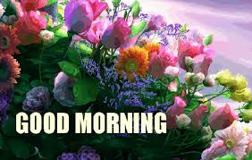 Why not use the below gallery of god gifs to share some positivity each day?! Best Morning Sweeti Gifs Gfycat