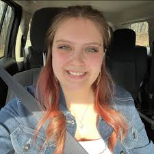 Are there alarms to prevent burglars in Sims?