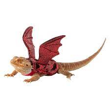 Merry Bright Dragon Wings Bearded Dragon Costume Bearded Dragon Costume Bearded Dragon Bearded Dragon Colors