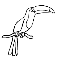 When you're finished with these, we have more bird and animal coloring pages. Drawing Of A Toucan Coloring Page Coloring Sun Coloring Pages Drawings Toucans
