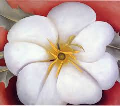 Georgia O Keeffe White Flower On Red Earth No 1 Georgia O Keeffe Georgia O Keeffe Paintings O Keeffe Paintings