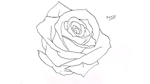 Maybe you would like to learn more about one of these? ØµÙˆØ± ÙˆØ±ÙˆØ¯ Ø¨Ø§Ù„Ø±ØµØ§Øµ