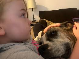 Our Sadie, when she was a young one; she is 14 years old now and still  going strong <3