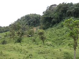 It's also one of the premier birdwatching sites in the world: Elevation Of Santa Fe Panama Topographic Map Altitude Map