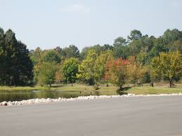 White oak lake is good for fishing, the staff at the building is very friendly and helpful and. White Oak Lake State Park An Arkansas State Park Located Near Camden