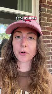 Taylor Cohen Chicago