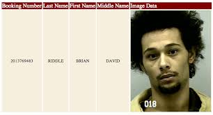 Dacula Docket Book: Burglary, Hit and Run and Other Charges