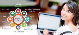 Best Hr Executive Training Institute In Noida Hr Executive Certification Course Noida In 2020 Digital Marketing Training Resource Management Train