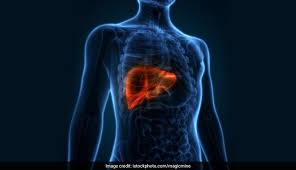 What are the symptoms of liver cancer? 7 Early Signs And Symptoms Of Liver Cancer