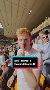 Haaland Explained by Cats | TikTok
