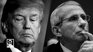 Eric Feigl-Ding's Video