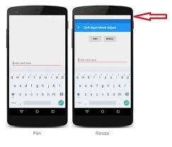 Consuming Platform Specifics Windowsoftinputmodeadjust Resize Xamarin Community Forums