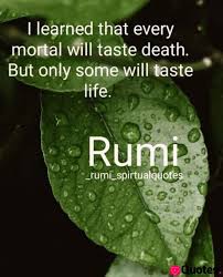 Love you can download the quotes images in various different sizes for free. 32 Quotes About Love And Death Shakespeare Rumi Quote Love Quotes Daily Leading Love Relationship Quotes Sayings Collections