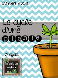 Projet De Sciences Le Cycle D Une Plante Extrait Gratuit Science Science Activities Teaching Classroom