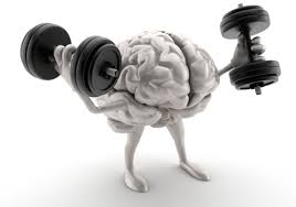 Image result for pictures on brain training