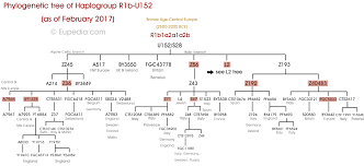 Haplogroup R1b Y Dna Eupedia