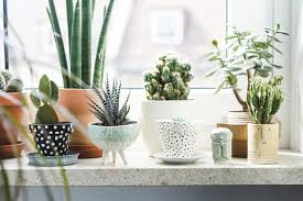 Having a smaller living room doesn't mean that everything you own has to be crammed into a tiny room. 7 Different Way To Indoor Plants Decoration Ideas In Living Room