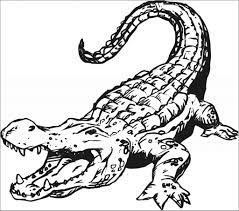 The best way to protect yourself is by using solid, high shoes and long trousers when hiking. Crocodile Dangerous Animals Coloring Page Coloringbay
