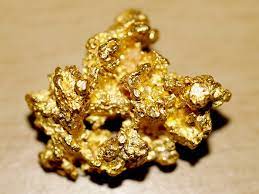 This gold detector has a double d submersible proformance the ideal metaldetector for gold hunting can be found in the offer of garrets and famous trail. Best Places For Metal Detecting In Nevada How To Find Gold Nuggets