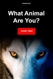 Pin On Personality Tests