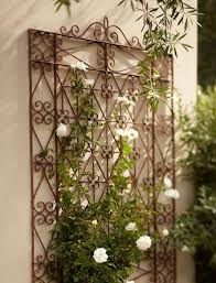 Flowers Climbing On A Pretty Metal Trellis For Outdoor Metal Trellis Iron Trellis Wrought Iron Trellis