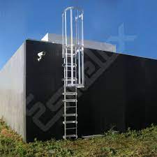 Escalera De Gato Con Proteccion De Espalda En Acero Inoxidable