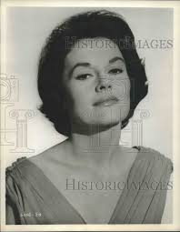 1961, "King of the Roaring 20's The Story of Arnold Rothstein" star