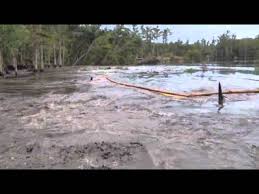 louisiana sinkhole swallows giant trees