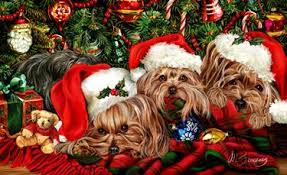 Shop For Cards Yorkshire Terrier In 2020 Christmas Dog Christmas Animals Yorkshire Terrier Puppies
