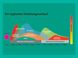 Phytohustil Wir Informieren Wann Mussen Sie Bei Husten Zum Ar