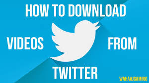 How To Download Twitter Videos To Your Computer Twitter Video Save Video Twitter Application