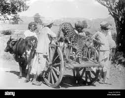 British india hi-res stock photography ...