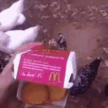 Chicken nuggets go with anything, so pairing it with some lemon jasmine rice, sprinkling some and just eat a chicken nugget… or two boxes. Chicken Nuggets Is Like My Family Gifs Tenor